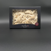TREASURE NEST White PG (250gr)