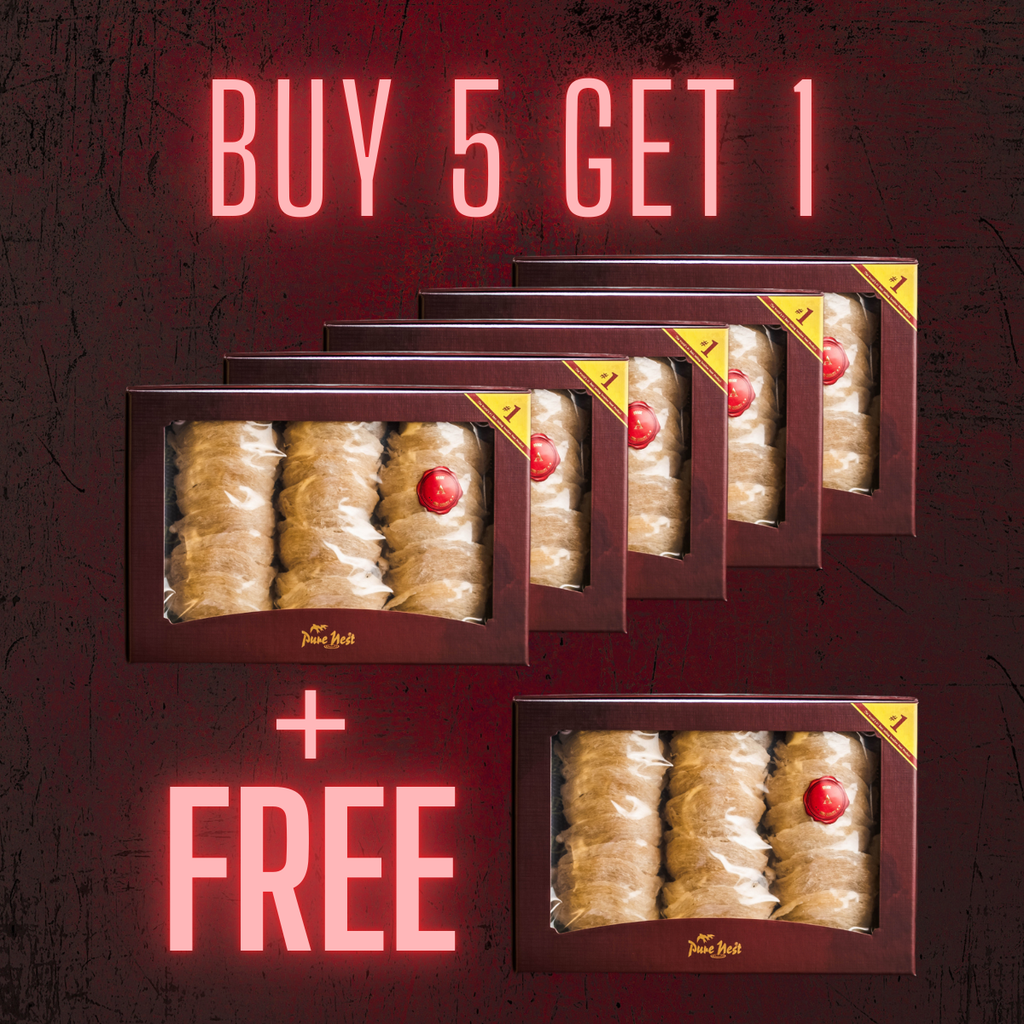 PURE NEST White A (5+1 Bundle)